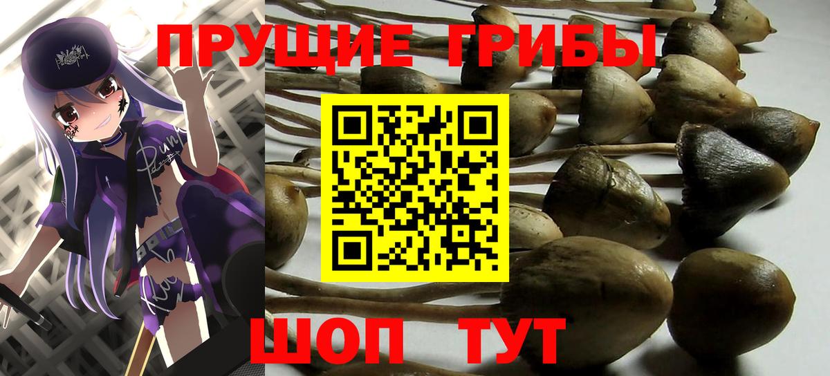 Псилоцибиновые грибы MAGIC MUSHROOMS Чусовой